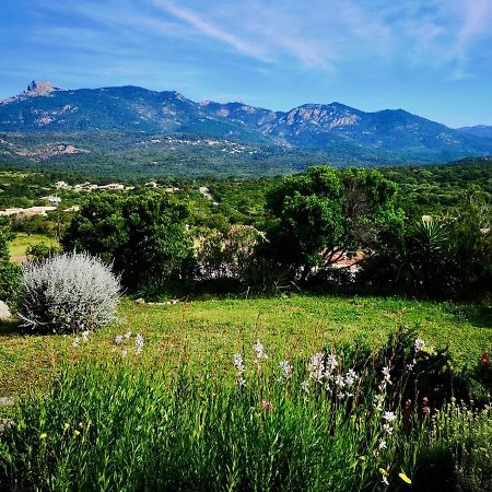 Appartements Avec Jardin Entre Porto-Vecchio Et Figari - Casa Mattiste Sotta Kültér fotó