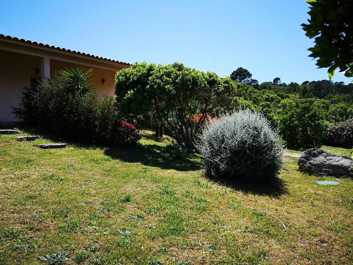 Appartements Avec Jardin Entre Porto-Vecchio Et Figari - Casa Mattiste Sotta Kültér fotó